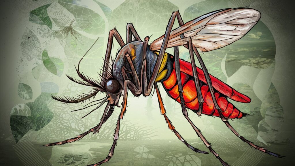 Mosquito Symbolism and Meaning